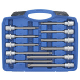 Jeu d'embouts GEPCO 26 pièces, entraînement carré interne 1/2", multi-dents pour XZN M5-M16